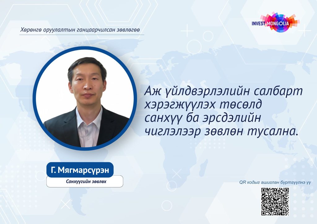 INDIVIDUAL INVESTMENT ADVISORY – FINANCE AND RISK DIRECTION FOR BUSINESS PROJECTS
