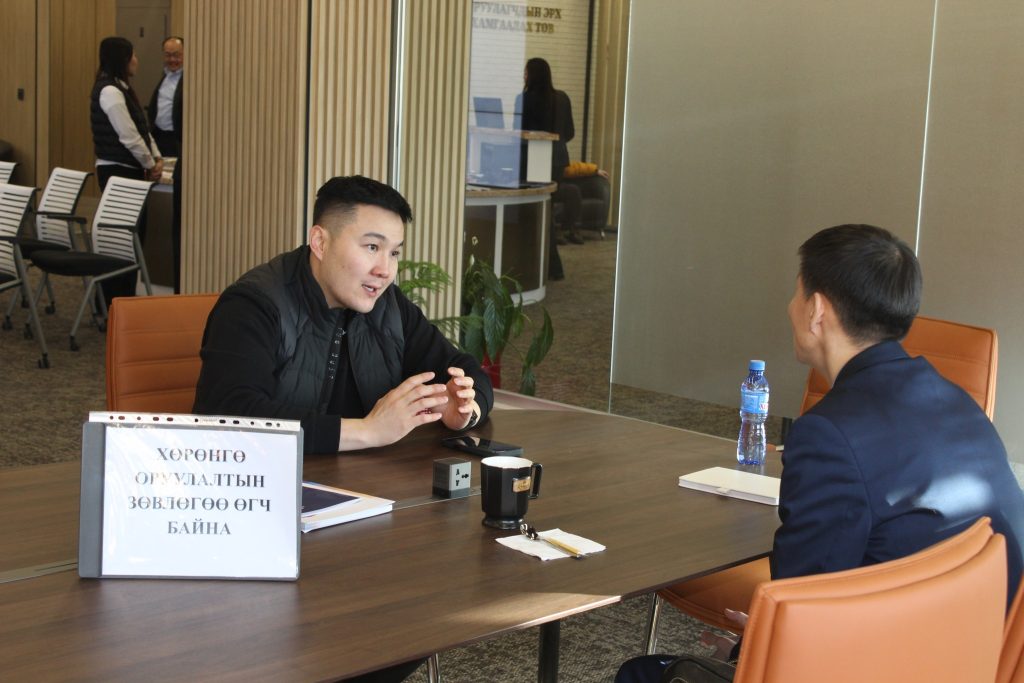 PROVIDE INDIVIDUAL ADVICE TO DOMESTIC BUSINESS UNITS.