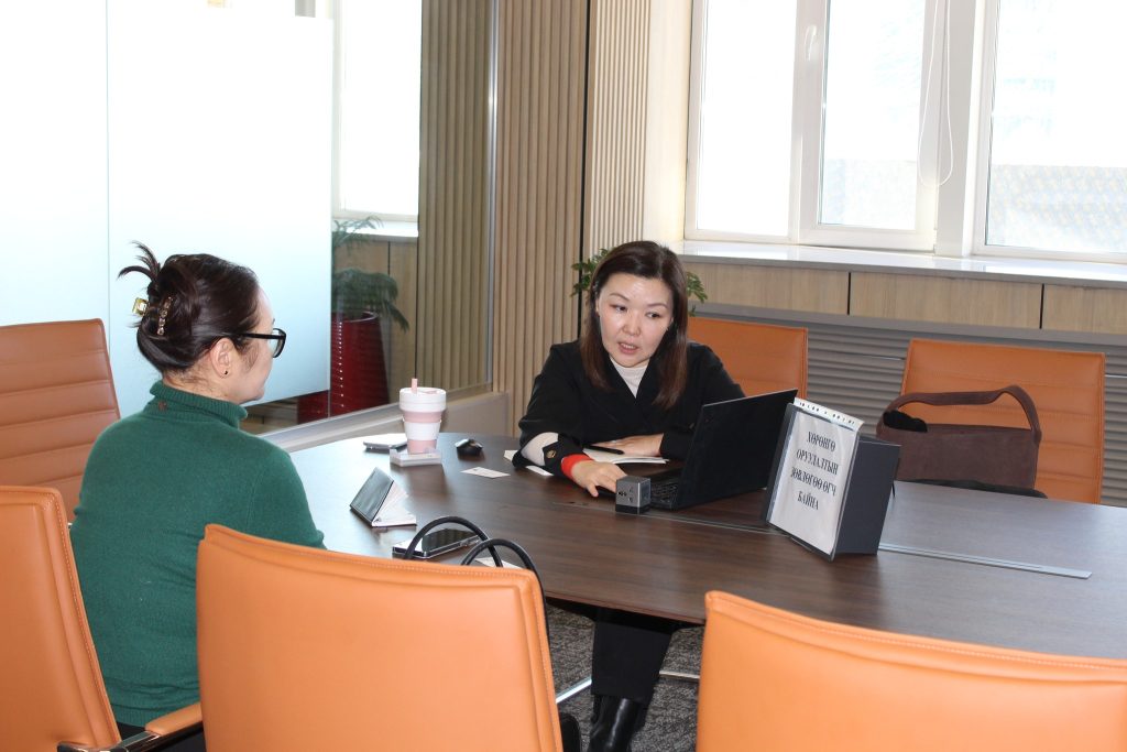 INDIVIDUAL ADVICE FOR DOMESTIC BUSINESS UNITS