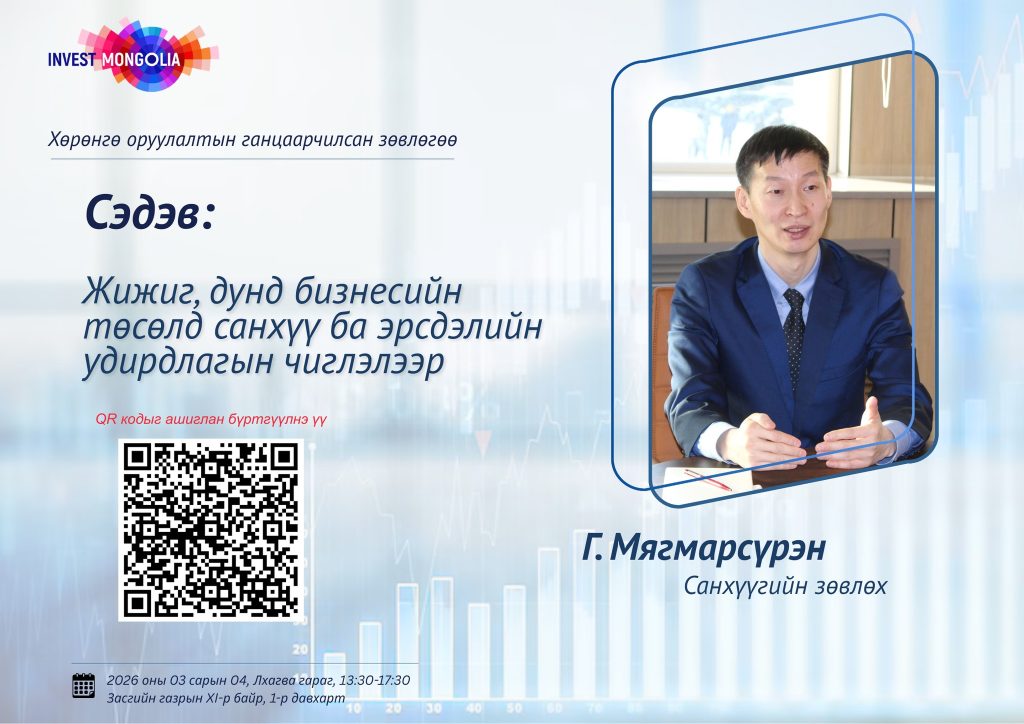 INDIVIDUAL INVESTMENT ADVICE – FINANCIAL AND RISK MANAGEMENT FOR SMALL AND MEDIUM BUSINESS PROJECTS