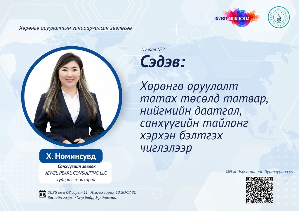 INDIVIDUAL INVESTMENT CONSULTANCY – PREPARING TAX, SOCIAL SECURITY AND FINANCIAL STATEMENTS FOR INVESTMENT ATTRACTING PROJECTS